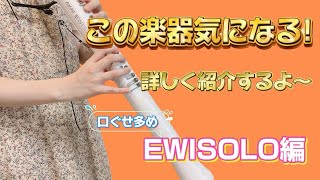 【楽器紹介】EWI SOLOについて詳しく紹介！#ewisolo #ewi #楽器紹介