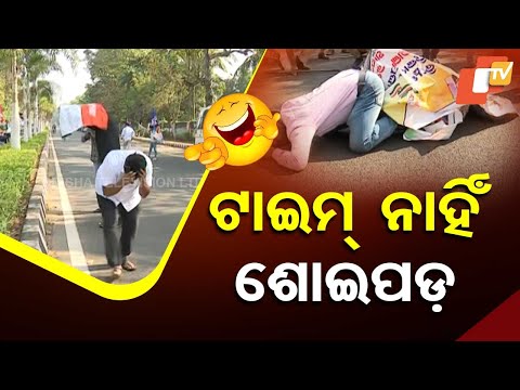 News Fuse: Bee Attack Disrupts Congress’ Protest in Bhubaneswar