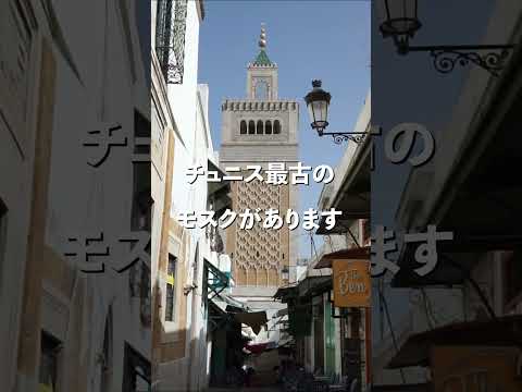 【買い物天国】チュニジアの旧市街が迷路過ぎた！（それが楽しい）　#shorts    #世界一周 #ミサトリップ  #バッグパッカー #チュニジア