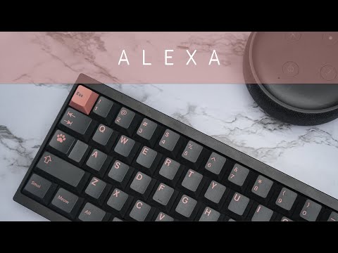 Expectation vs. Reality | Maker Keyboards Alexa Review