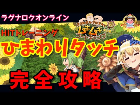 【RO】楽々レベル上げ！HITトレーニングことひまわりタッチ攻略＆解説