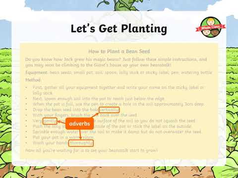 IPC Week 3 Lesson 2: How to Plant a Seed