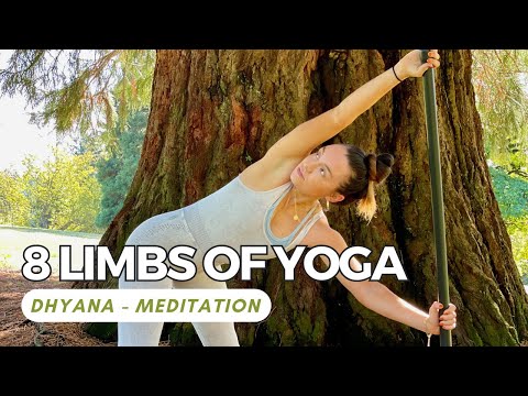 8 Limbs of Yoga | Dhyana | Meditation