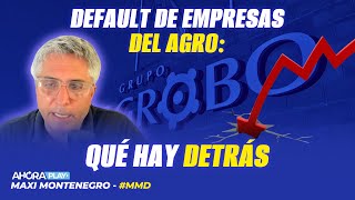 Default de empresas del agro: qué hay detrás | Maxi Montenegro #maximediodía