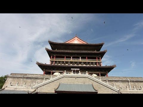 西安钟鼓楼燕子多，春天燕子来筑巢安家，七夕带着小燕子离开