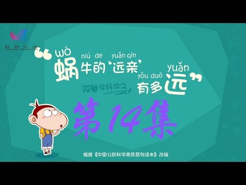 阿U学科学 第14集 蜗牛的“远亲”有多远