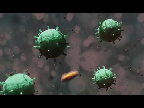 Virus Animation | Copyright Free Video Footage