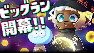 【ビッグラン】目指せ7億個！！！開幕グランドバンカラアリーナを攻略しに行くぞ！！【スプラトゥーン3/サーモンランNEXTWAVE】