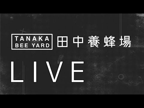 田中養蜂場ライブ　テスト回　3月19日