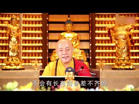 宏圆法师 — 「学习佛法就是救度自己」 #宏圆法师