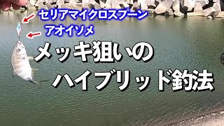 【メッキ釣り】　ハイブリッド釣法でメッキを狙ってみると…