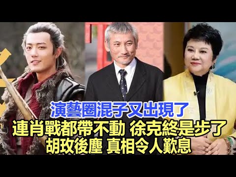 演藝圈“混子”又出現了，連肖戰都帶不動，徐克終是步了胡玫後塵，真相令人歎息！娛樂明星#趙麗穎 #肖戰