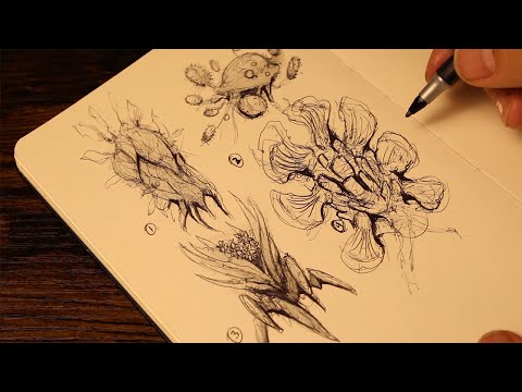 Mixing Pen and Pencil: The Most Satisfying Combo on Paper