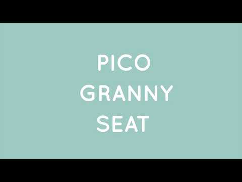 Meet Pico, The On-The-Go Car Seat