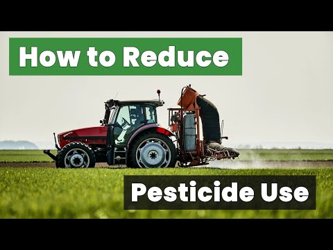 Discover Effective Strategies for How to Reduce Pesticide Use Now!