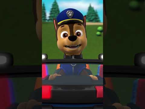 Chase and Rubble save the stolen Jukebox! #pawpatrol #shorts