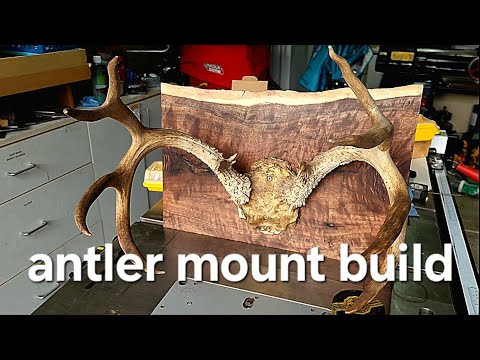 building an antler mount from a piece of scrap walnut