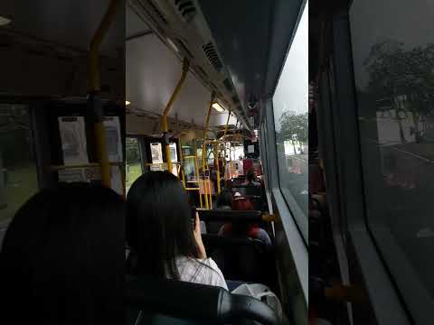 Brisbane public transport |bus Australia