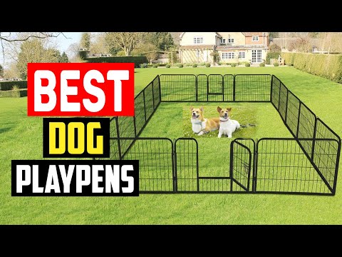 Top 5 Best Dog Playpens in 2023