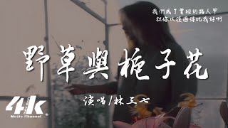 林三七 - 野草與梔子花『枯萎的野草 怎配得上梔子花，不夠好的我 給不起你要的家。』【高音質|動態歌詞Lyrics】♫