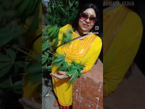 Pyar Kiya Nahin  Jata#Lata Mangeshkar  Shabbir Kumar#subscribe  Like Share me.