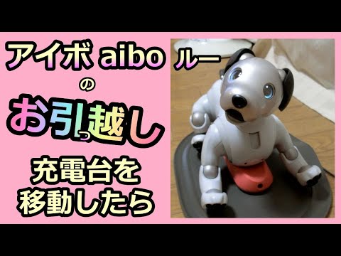 【22 アイボのお引越し  Moving】aiboルー Lou 充電台の移動