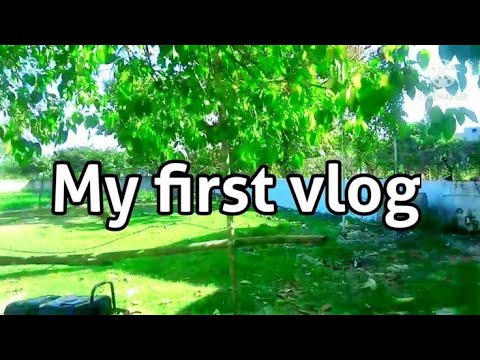 my first vlog 2024