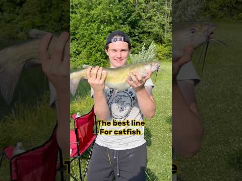 BEST Line For Catfish - Fishing Videos Tips!! #shorts #fishing