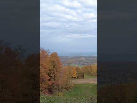 Fall Colours #foliage #autumn #shortsvideo