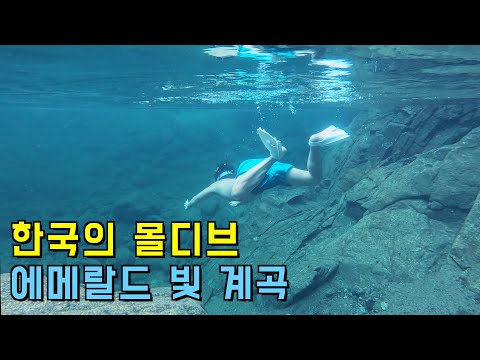 (수심 4m) 자연산 메기가 있는 청정 끝판왕 계곡에 가보다