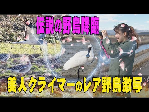 【野鳥撮影】伝説の野鳥降臨　美人クライマーのレア野鳥激写