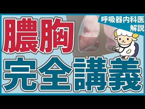 【17分で初心者を卒業】膿胸の完全講義