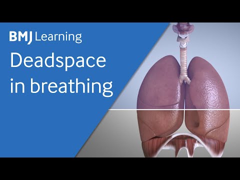 Basics of ventilation: Deadspace in breathing