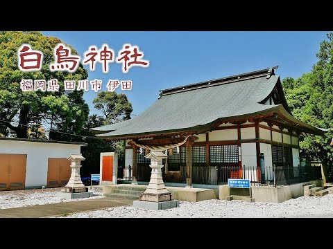 865 白鳥神社 : 福岡県田川市伊田