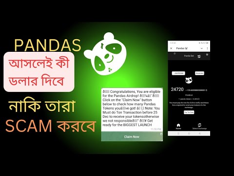 PANDA কী আসলেই টাকা দিবে | নাকি তারা SCAM করবে | Pandas New Update | Panda Airdrop | Panda Update |