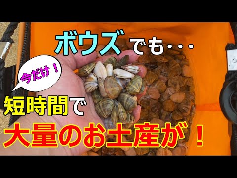 【福岡釣り】潮干狩りでアサリよりも美味しい貝が大量に採れた！！ #潮干狩り　#福岡　#釣り　【38釣目】