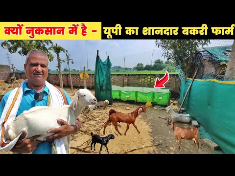 बकरी पालन में यह गलती कभी मत करना | Bakri palan kaise kare | Goat farm tour