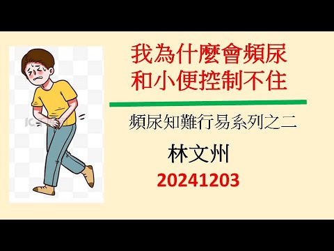 我為什麼會頻尿和小便控制不住－林文州20241203