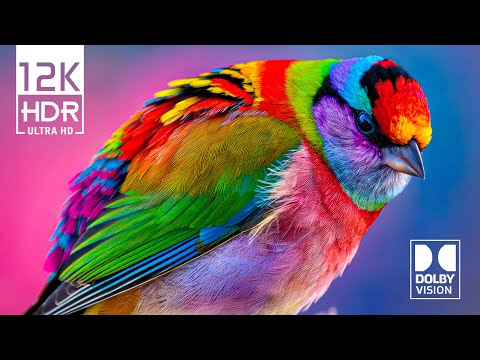 Best Breathtaking🌿Dolby Vision HDR 12K Video ULTRA HD