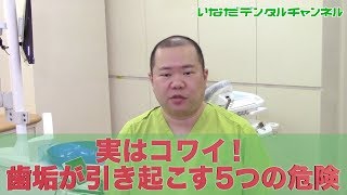 【千葉県 船橋市 歯医者】実はコワイ！歯垢が引き起こす５つの危険_いなだデンタルチャンネル013（口腔ケアチャンネル）