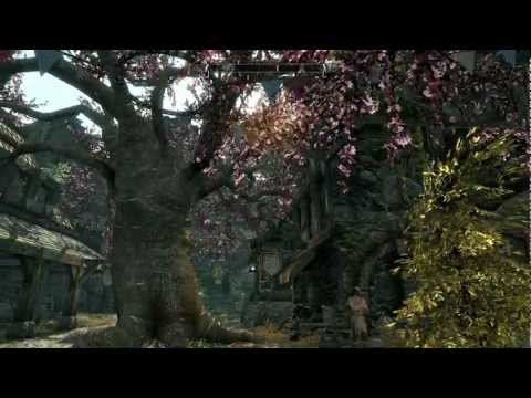 Skyrim PC Gameplay - Max Settings