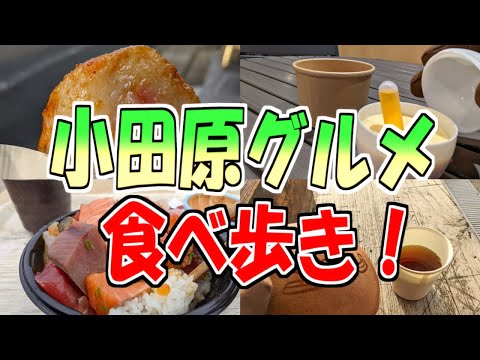 【神奈川グルメ旅】小田原グルメ食べ歩き旅