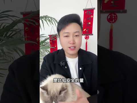 猫咪可以吃的人类食物。这6种是它的最爱。科学养宠攻略 养猫经验分享 宠物零食 养猫人 新手养猫