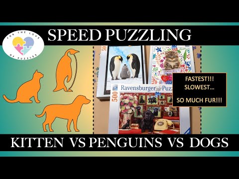 New FASTEST and SLOWEST Times - Speed Puzzling Compilation