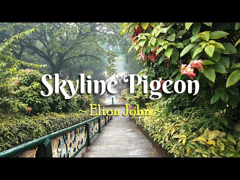 SKYLINE PIGEON - (4k Karaoke Version) - in the style of Elton John