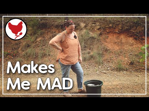 This Makes Me Mad | Solar Lighting | Vlog