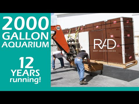 THE STORY BEHIND OUR  2000 GALLON AQUARIUM AT STEAK 954 - FORT LAUDERDALE, FL - REEF AQUARIA DESIGN