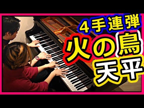 火の鳥 / 天平【連弾】で弾いてみた (cover) [ 4K ]