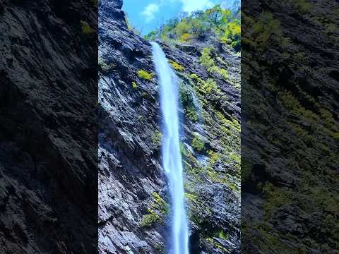 Koodlu theertha falls📍 #travelreels #travelshorts #agumbe #wanderlust #shotoniphone