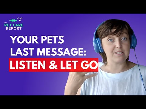 What Your Pet Wants You to Know Before They Go